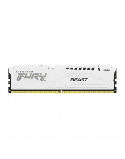 2X16G DDR5 6000 KING EXPO WH