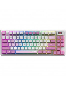 MSI FORGE GK600 TKL WIRELESS VIOLET -