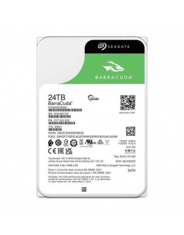 24T SG ST24000DM001