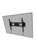 Neomounts Level-750 Wall Mount (XL, 100 kg, tiltab