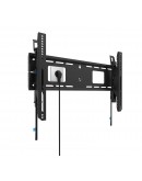 Neomounts Level-750 Wall Mount (XL, 125 kg, tiltab