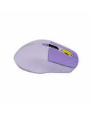 CANYON mouse MW-26 LCD Silent Dual Mode Wireless