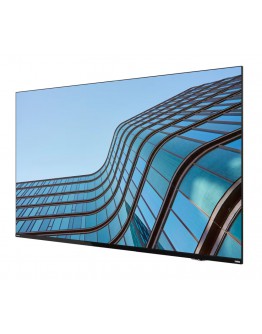 Монитор Lenovo ThinkVision E55 LFD 54.6 UHD (3840 x 2160),