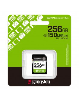 256G SD KINGST CANVAS SEL+ G3