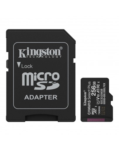 256G SDMIC KINGS CANVAS SEL+A1