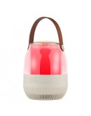 Тонколона Kisonli LP-6S, Bluetooth, USB, SD, FM, RGB, Различни цветове - 22279