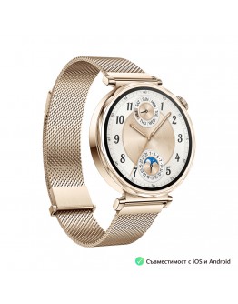 Huawei Watch GT5 Jana-B19M, 1.32, Amoled 466x466 P