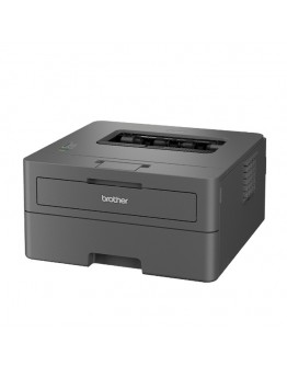 Brother HL-L2402D Laser Printer
