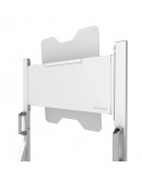 Neomounts Move Go Flip Rotational Mobile Floor Stand for Samsung Flip 55