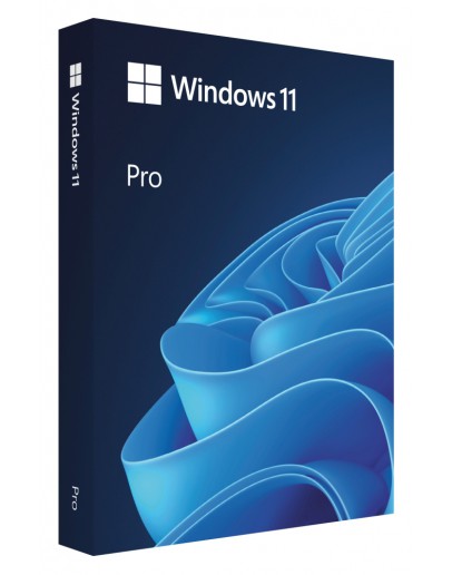Microsoft Windows Pro 11 64-bit Eng Intl USB RS