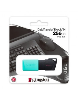 256GB USB3.2 DTXM KINGSTON