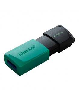 256GB USB3.2 DTXM KINGSTON