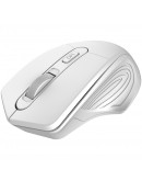 CANYON mouse MW-15 Wireless Pearl