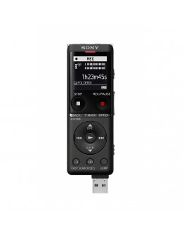 Sony ICD-UX570, 4GB, micro SD slot, built-in USB, 