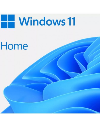 WIN 11 HOME 64BIT ENG USB FPP