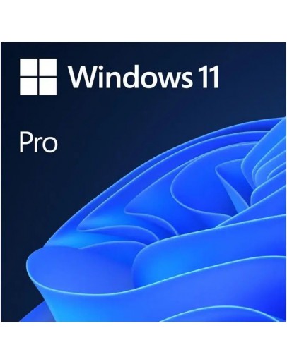 WIN 11 PRO 64BIT ENG USB FPP