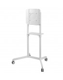 Neomounts Mobile Flat Screen Floor Stand (height: 