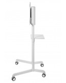 Neomounts Mobile Flat Screen Floor Stand (height: 