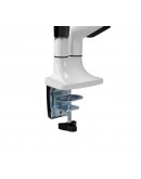 Neomounts Flat Screen Desk mount (10-32) desk clam