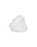 Natec Vertical Mouse Crake 2 Wireless, 2400DPI Blu