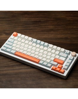 VGN професионална геймърска механична клавиатура Professional Gaming Mechanical Keyboard N75 RGB Jelly Orange - Power Purple Switches [Tactile]