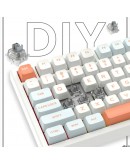 VGN професионална геймърска механична клавиатура Professional Gaming Mechanical Keyboard N75 RGB Caribbean Blue - Power Silver Switches [Linear]