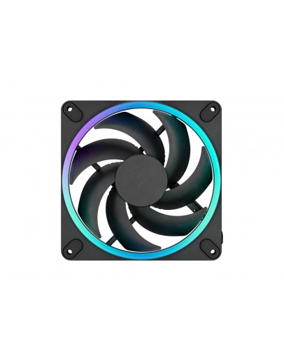 FD MOMENTUM 14 RGB BLACK