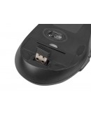 Natec Set 2 in 1 Keyboard + Mouse Wireless US Layo